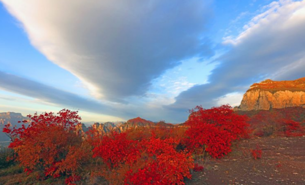 原創詩詞-李樹林 | 秋色繽紛敢勝春，老夫聊發少年狂（詠秋十題）