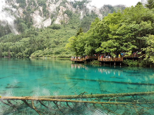 鏡頭丨九寨歸來不看水