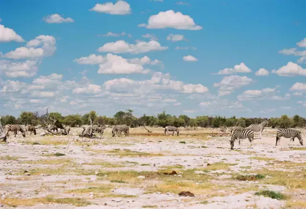 世界上顏值最高的20個國家，猜猜中國排第幾？