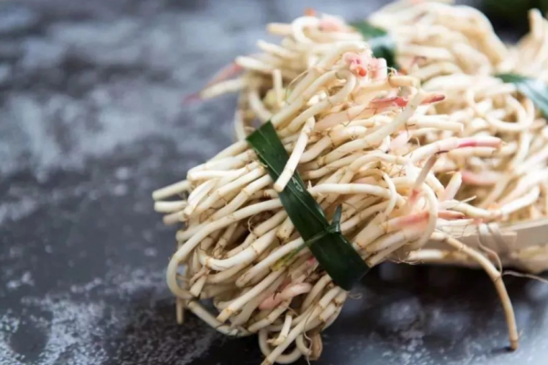 農村裡田間地頭上最常見又能吃的五種野菜，你認識幾個？