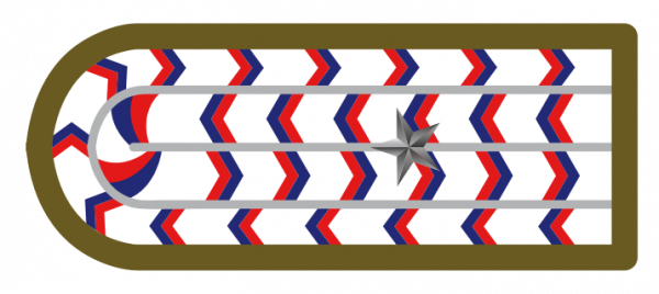 智利警銜標識 智利警銜標識