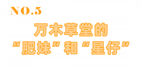 &OpenCurlyDoubleQuote;故宮貓&rdquo;在越秀出沒！收下這份博物館&OpenCurlyDoubleQuote;吸貓&rdquo;指南