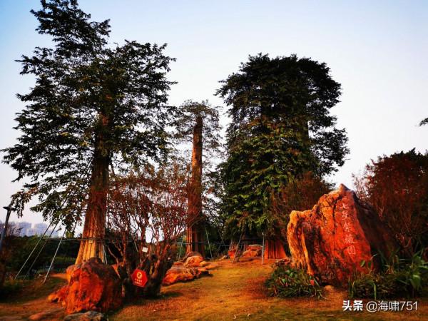 燈都溼地公園 燈都溼地公園