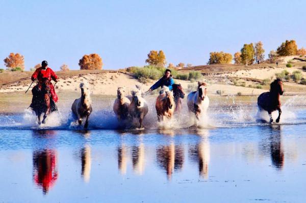 烏蘭布統的迷人秋色
