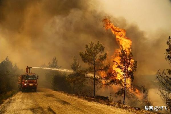可能導致人類滅絕的九大因素