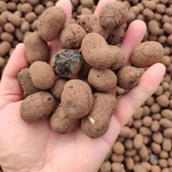 陶粒墊盆太奢侈，用這三種效果更好，關鍵很省錢