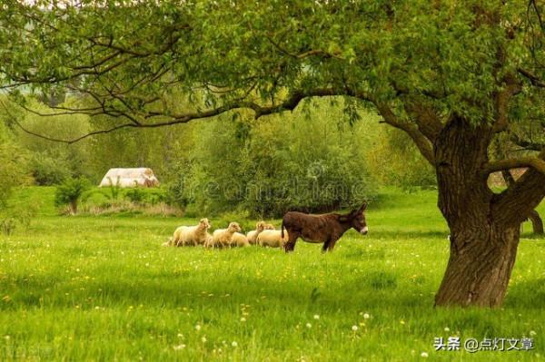 費孝通先生嘗試在《鄉土中國》回答:基層社會到底是怎樣的社會? 費孝通先生嘗試在《鄉土中國》回答:基層社會到底是怎樣的社會?