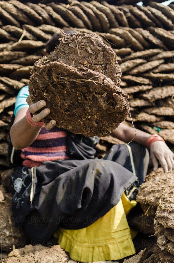 印度“牛糞餅”一盒205元，經常賣到脫銷，究竟有什麼用處？