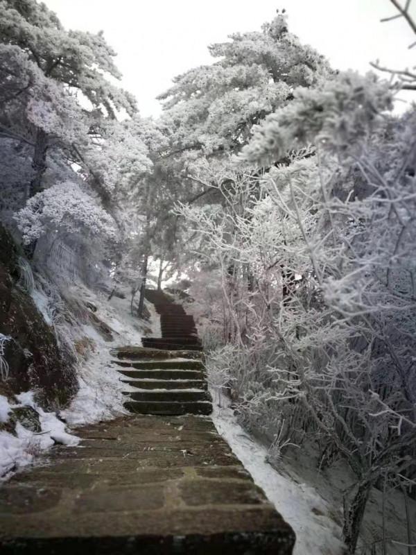 這裡的霧凇，驚豔了西河的冬日時光