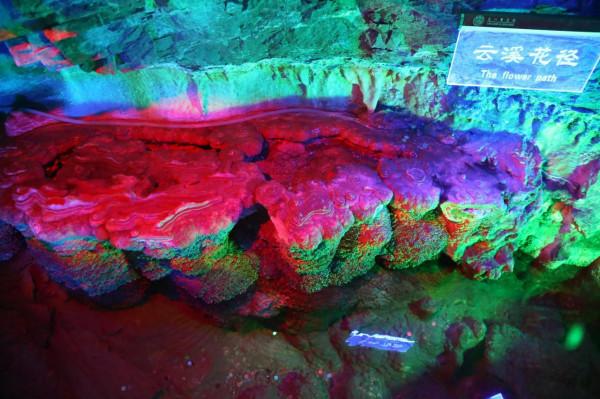 民俗文化綻風采，春節暢遊頌家鄉