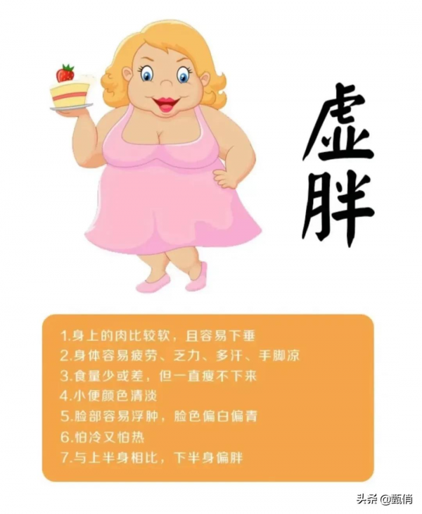 湖南甄俏｜一張圖快速判斷虛胖和實胖，學會怎麼瘦下來
