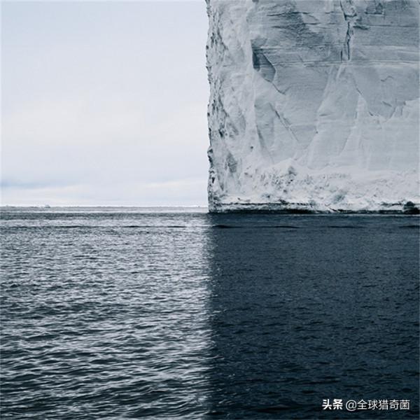 35張“活久見”的完美圖片，強迫症瞬間被治癒了