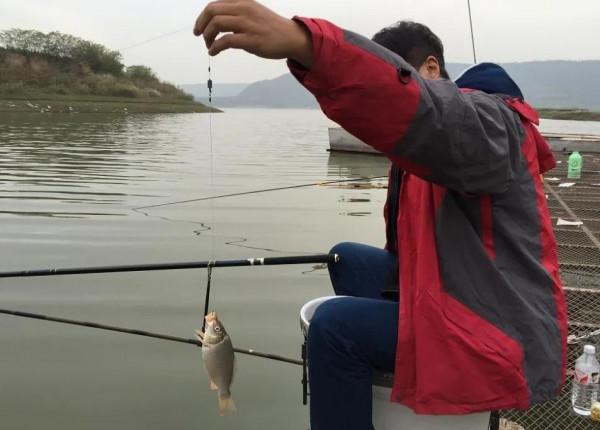 冬釣大鯽魚，其實並非晴天，這兩種天氣才最適合釣魚