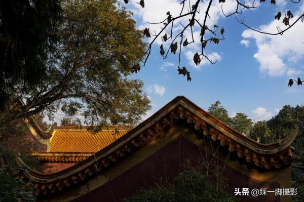 嶽麓賞紅葉 楓林愛晚亭 嶽麓賞紅葉 楓林愛晚亭