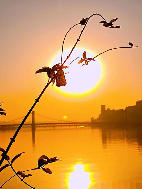 夕陽無限好，醉美夕陽