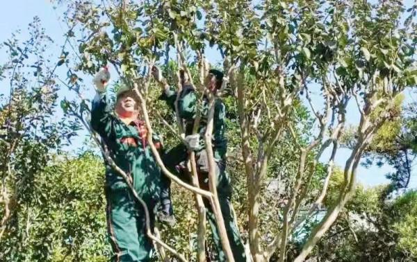 這點小心機少不了