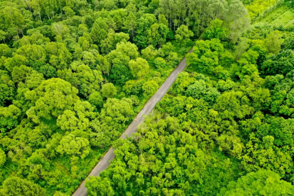 這些小眾旅行地，我每個都想去。你呢？