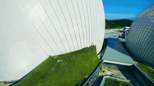 珠海落戶最新訊息：恭喜這些朋友，這些人可直接入戶珠海