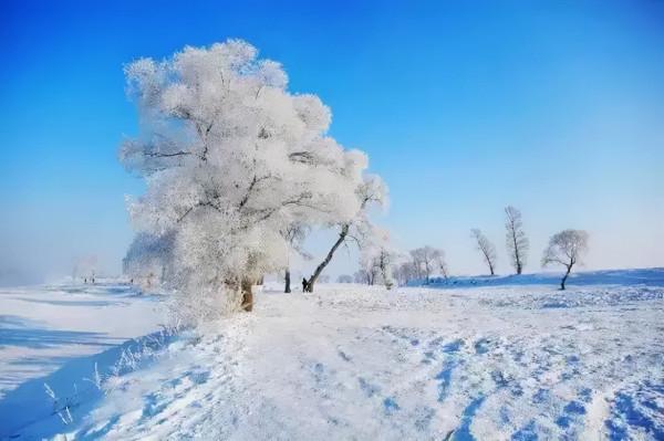 抓住年末的尾巴，計劃一場“冬日旅行”，不然又要拖到明年啦
