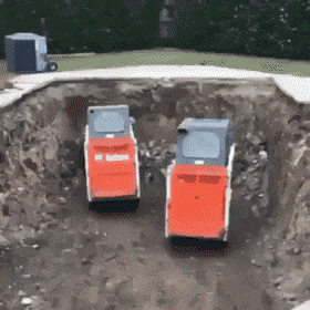 88個難得一見的照片，大象岩石，被章魚攻擊的海豚，飛行員眼鏡