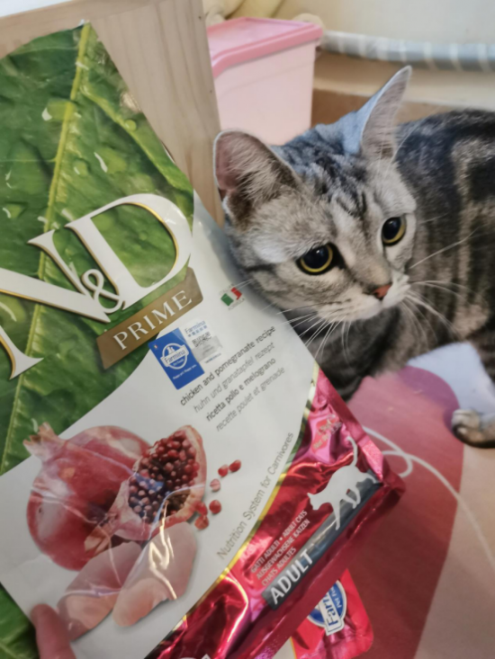 一位被口碑比較好的進口貓糧坑慘姑娘的自述…… 一位被口碑比較好的進口貓糧坑慘姑娘的自述……