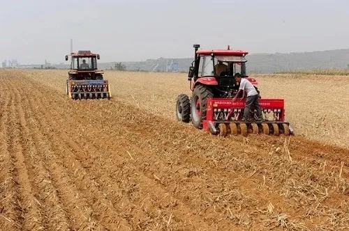 拉尼娜機率提升,東北冷渦持續影響,今年冬小麥播種要不要提前? 拉尼娜機率提升,東北冷渦持續影響,今年冬小麥播種要不要提前?