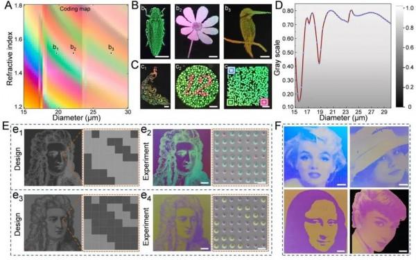 結構色新突破:一種透明墨水實現全綵影象列印 結構色新突破:一種透明墨水實現全綵影象列印