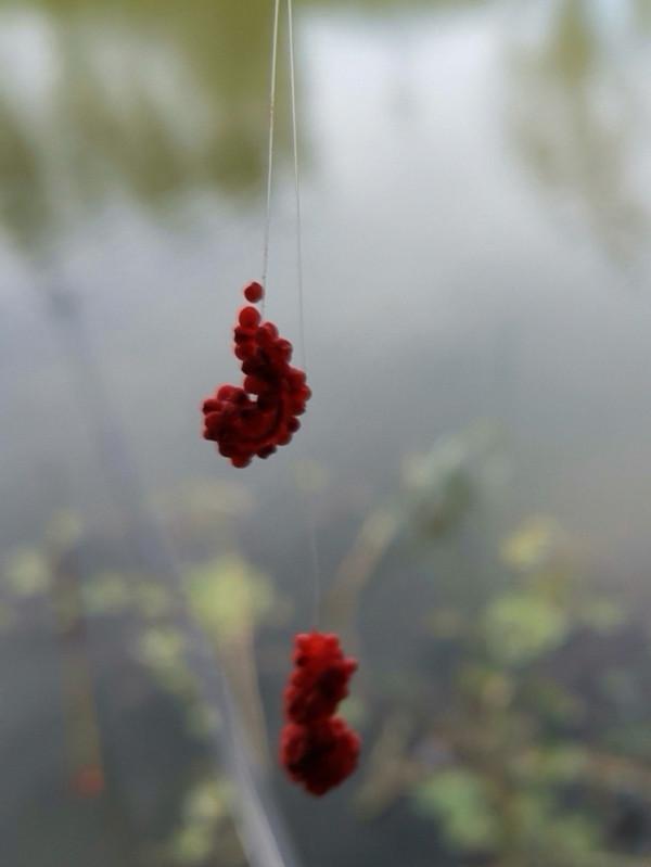 [十週年亅艱難釣魚路,我用妙招撬開鯽魚口 [十週年亅艱難釣魚路,我用妙招撬開鯽魚口