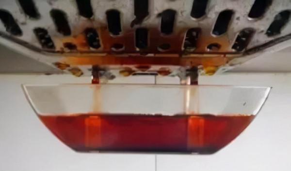 立冬後，這3種花卉愛“喝油”，兩週喂一次，花開滿枝頭