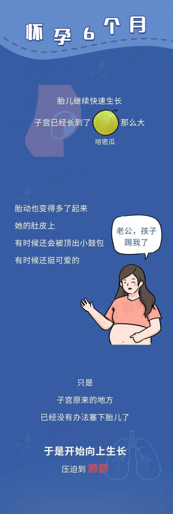 漫畫科普：長圖看懂懷孕全程，感受生命的神奇與母愛的偉大