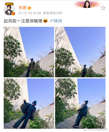 #宋茜冬日綠意隨拍# #宋茜說起風啦注意保暖#學起來給自己安排一套 #宋茜冬日綠意隨拍# #宋茜說起風啦注意保暖#學起來給自己安排一套