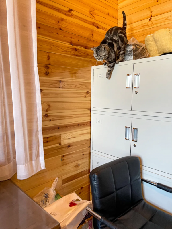 幹飽飯，才有力氣營業