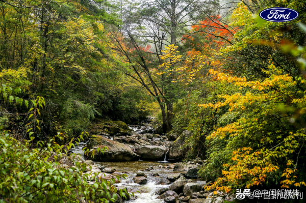 福特發起「沒有手機的 24h」體驗邀請