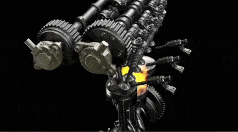 每一位健身肌肉男的身體，都藏著一顆強大的心臟