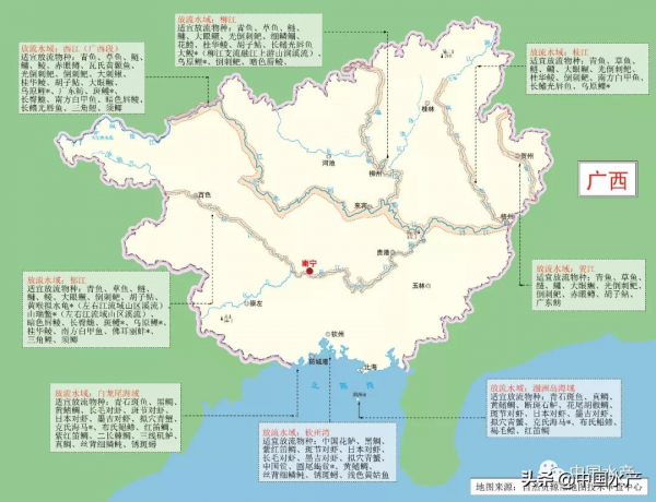 科學放流指南 &vert;（五）增殖放流水域在哪裡？放流物種怎麼選？