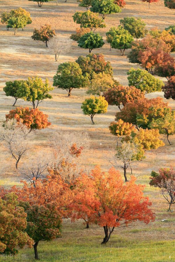 今年最想去的24條線路,與國內最極致的風光邂逅,你都去過幾條? 今年最想去的24條線路,與國內最極致的風光邂逅,你都去過幾條?