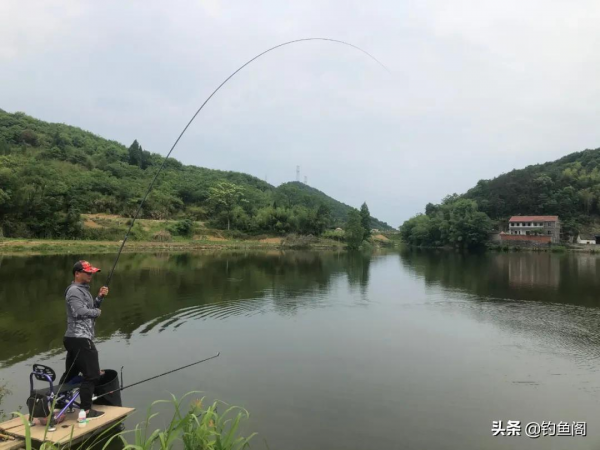 釣到大魚總是“拔河”？記住這3個步驟，大大地減少跑魚