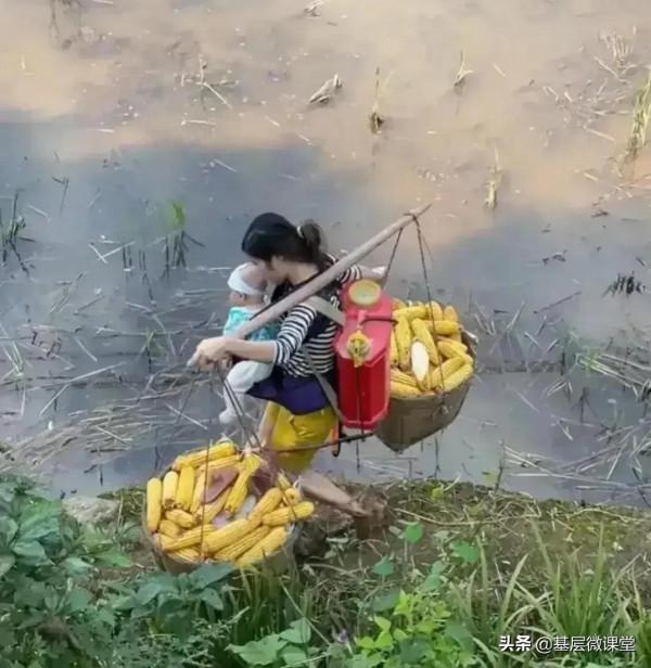 想成網紅冒充農民倒也罷了,但千萬別去侮辱歧視消遣農民 想成網紅冒充農民倒也罷了,但千萬別去侮辱歧視消遣農民