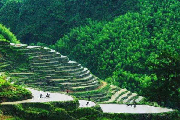 浙江十大冷門景點，人少景美好玩