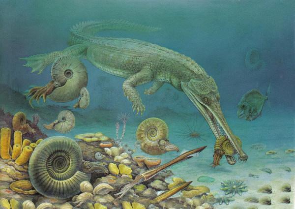 20多年後，有“手”的魚再次被發現，專家：第六次大滅絕或已開始