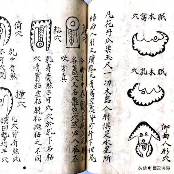 清代民間抄本——論生龍口之法