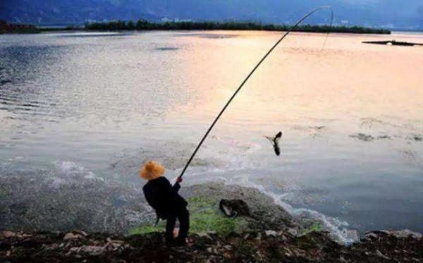 為什麼不建議新手買長竿,不是因為貴,而是這幾個原因 為什麼不建議新手買長竿,不是因為貴,而是這幾個原因