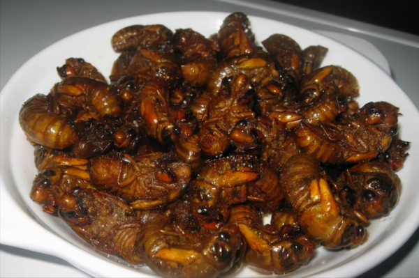 味道奇怪但很受歡迎的八大小吃，你吃過哪些