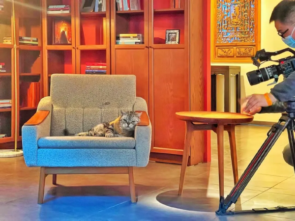 穿上馬甲我就不認識你了？