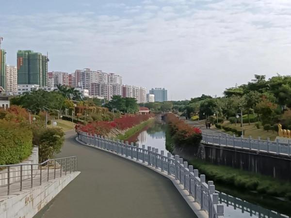 百看不厭的市花公園，不只有三角梅花，還有動物呦