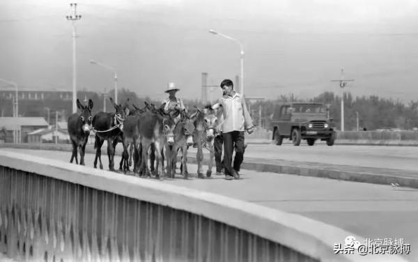 畫說丨500張老照片帶您穿越，從晚清到新中國的北京人文風景
