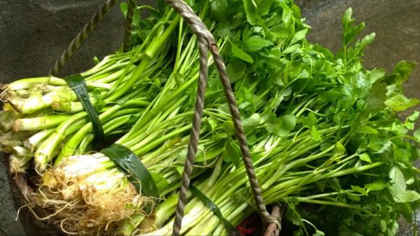 入深秋,別忘記吃“江南水八仙”,健脾祛溼、養心潤肺,舒服過秋 入深秋,別忘記吃“江南水八仙”,健脾祛溼、養心潤肺,舒服過秋