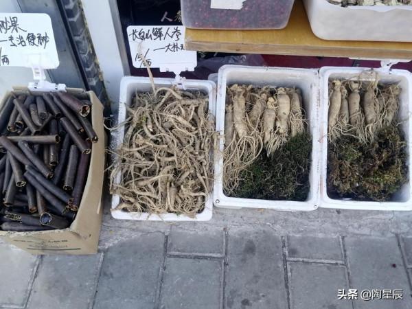 公交徒步遊北京：門頭溝雙峪農副產品批發市場