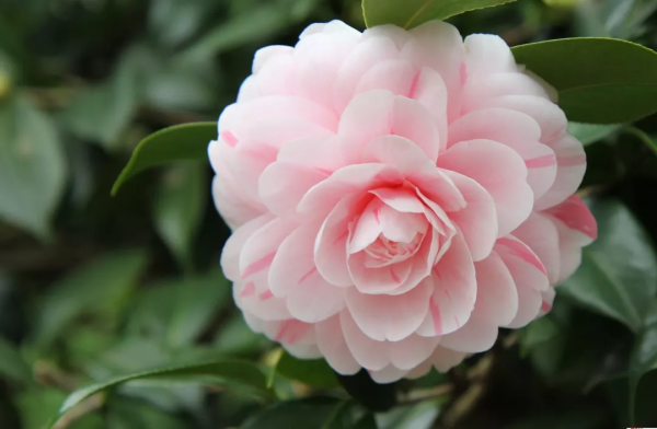 中國古今十之最,長見識了! 中國古今十之最,長見識了!