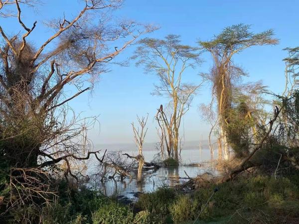 疫情下的漫長環球之旅:走遍亞非歐,在20多個國家測了核酸 疫情下的漫長環球之旅:走遍亞非歐,在20多個國家測了核酸